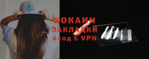 сатива Бородино