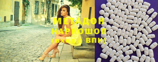 сатива Бородино