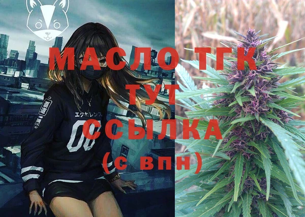 сатива Бородино