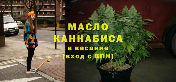сатива Бородино