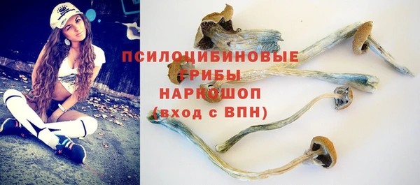 сатива Бородино