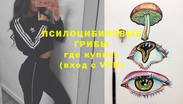 сатива Бородино