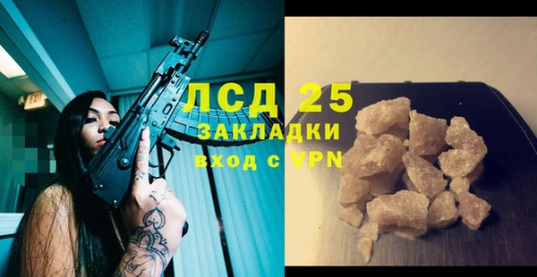 сатива Бородино