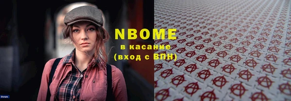 сатива Бородино