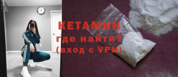 сатива Бородино
