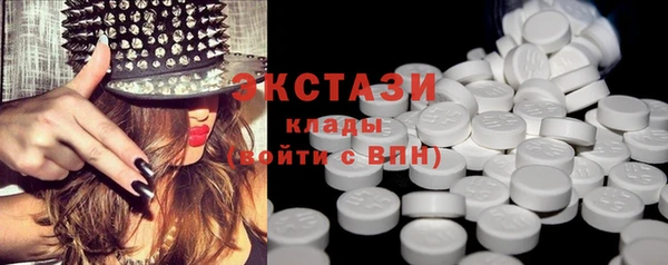 сатива Бородино
