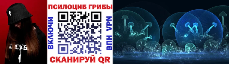 Псилоцибиновые грибы Psilocybe  как найти закладки  Минусинск 